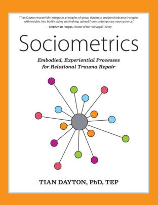 tian dayton sociometrics book cover